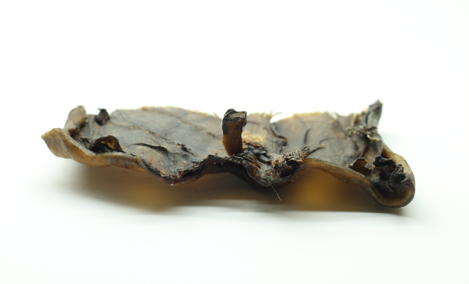 Pferdekopfhautplatten, 300g